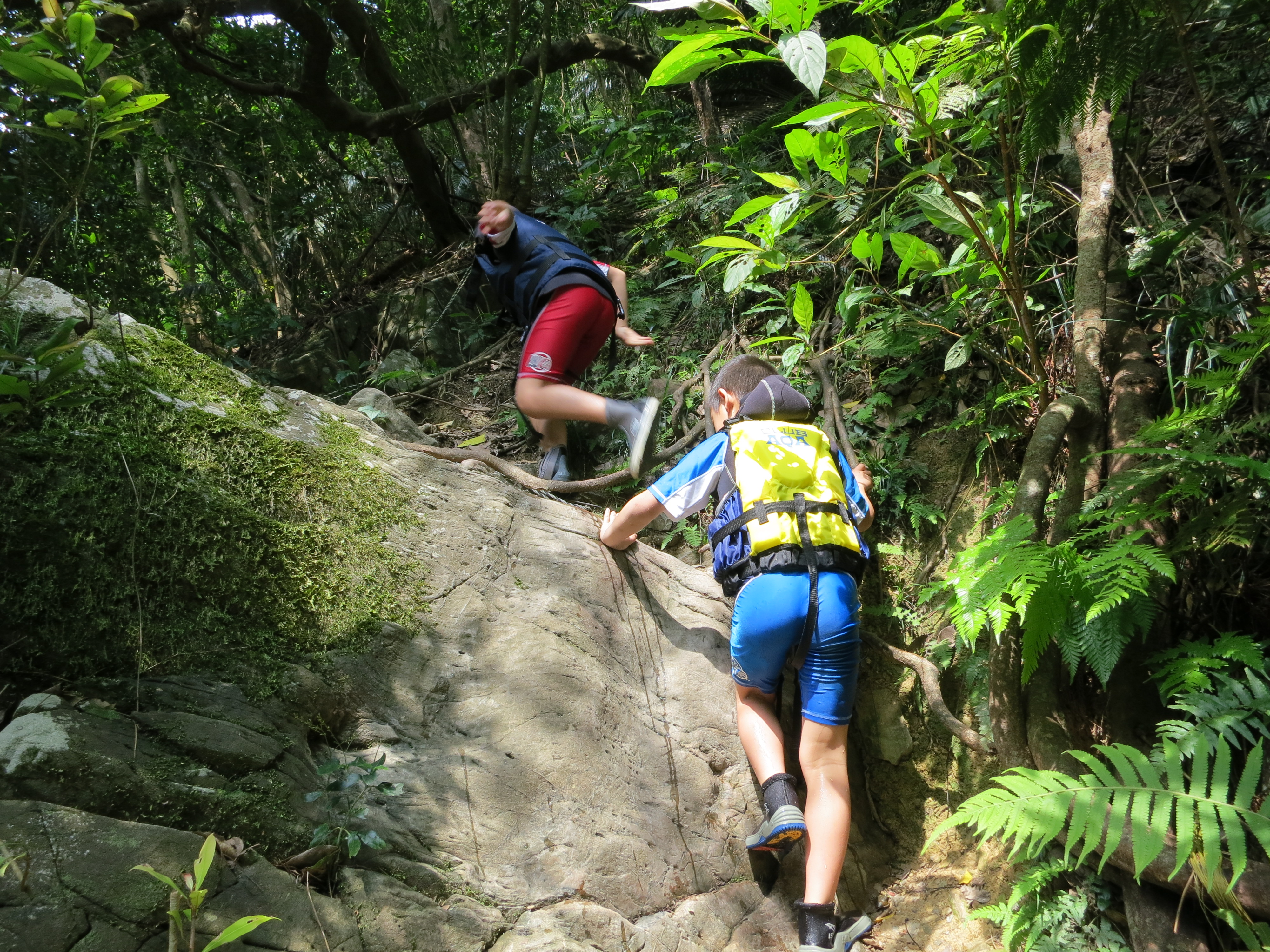 沖縄の名護のやんばるでリバートレッキングツアーに参加し山を登る子ども