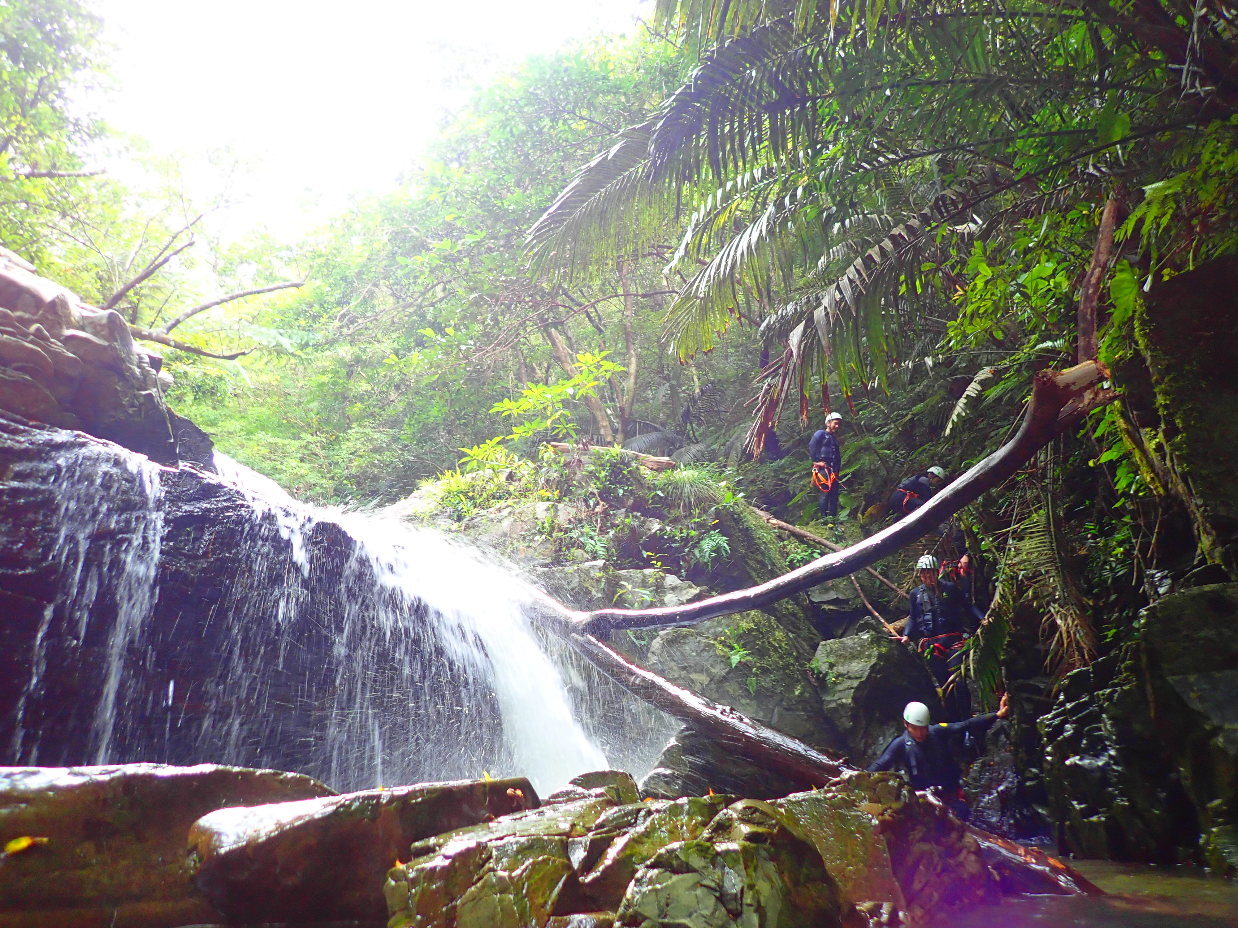 沖縄の名護のやんばるでシャワークライミングツアーに参加し滝を降りる