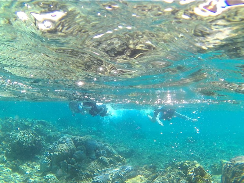 沖縄の無人島近くの海は透明度が高く綺麗