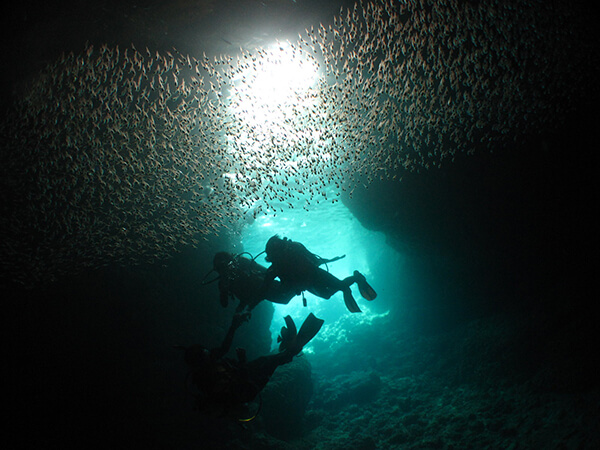 魚がたくさんいる沖縄の青の洞窟で体験ダイビング