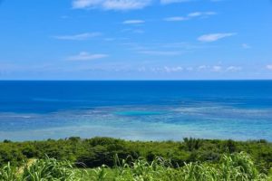 新城海岸からの絶景