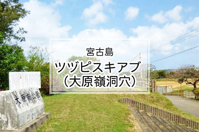 宮古島のツヅピスキアブ （大原嶺洞穴）