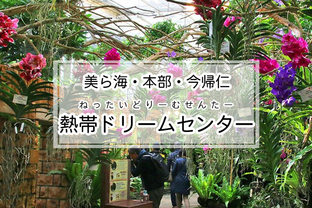 美ら海・本部・今帰仁エリアの熱帯ドリームセンター