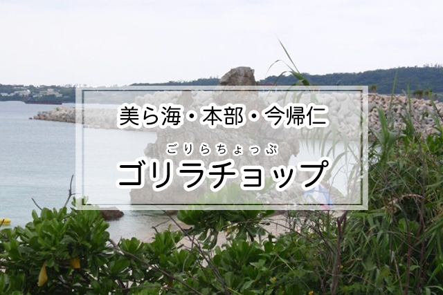 美ら海・本部・今帰仁エリアのゴリラチョップ