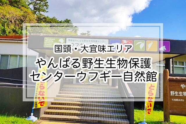 国頭・大宜味エリア のやんばる野生生物保護センターウフギー自然館