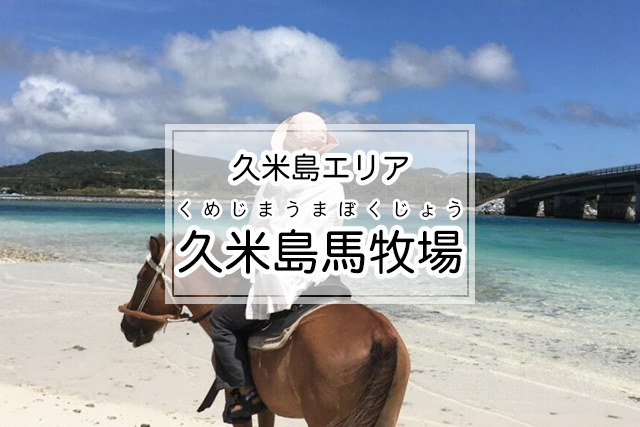 久米島エリアの久米島馬牧場