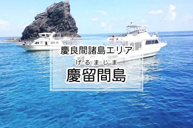 慶良間諸島エリアの慶留間島