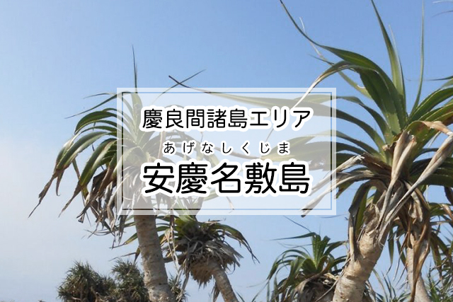 慶良間諸島エリアの安慶名敷島