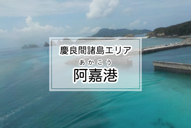 慶良間諸島エリアの阿嘉港