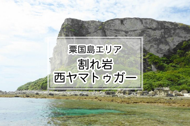 粟国島エリアの割れ岩/西ヤマトゥガー