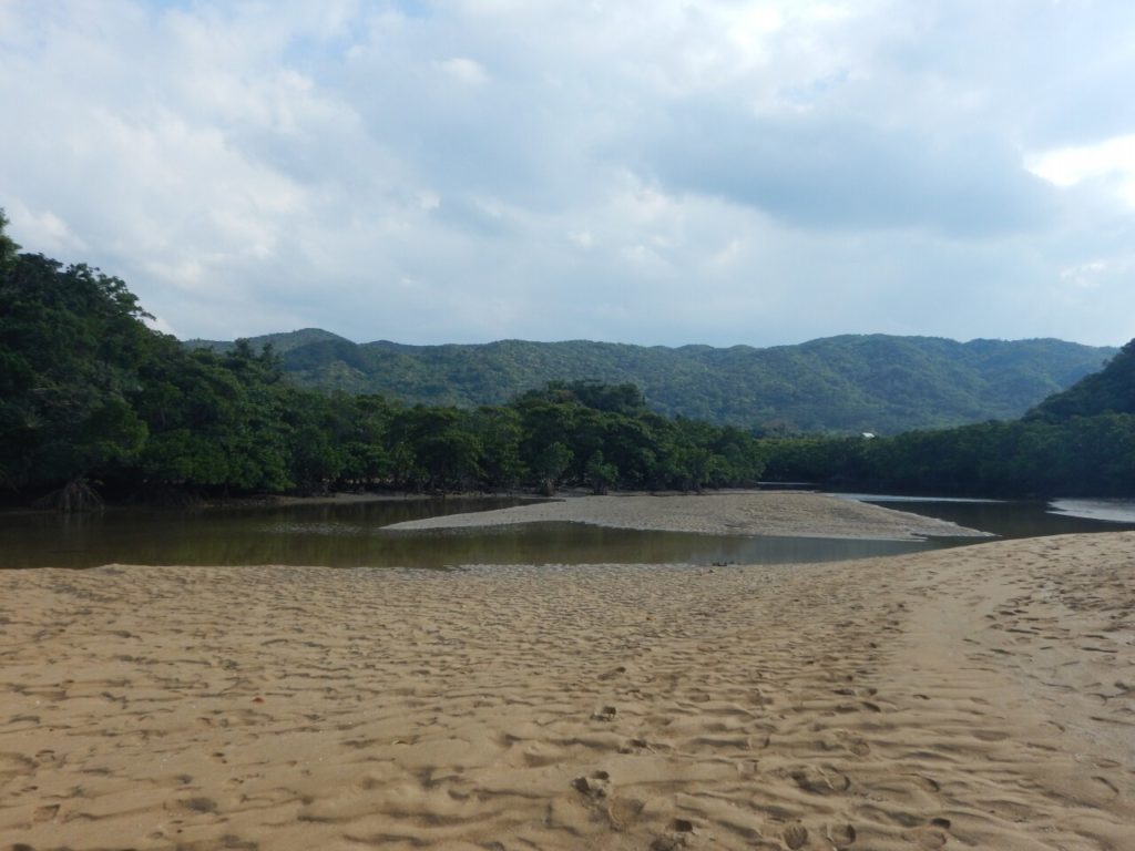 石垣島の吹通川干潟