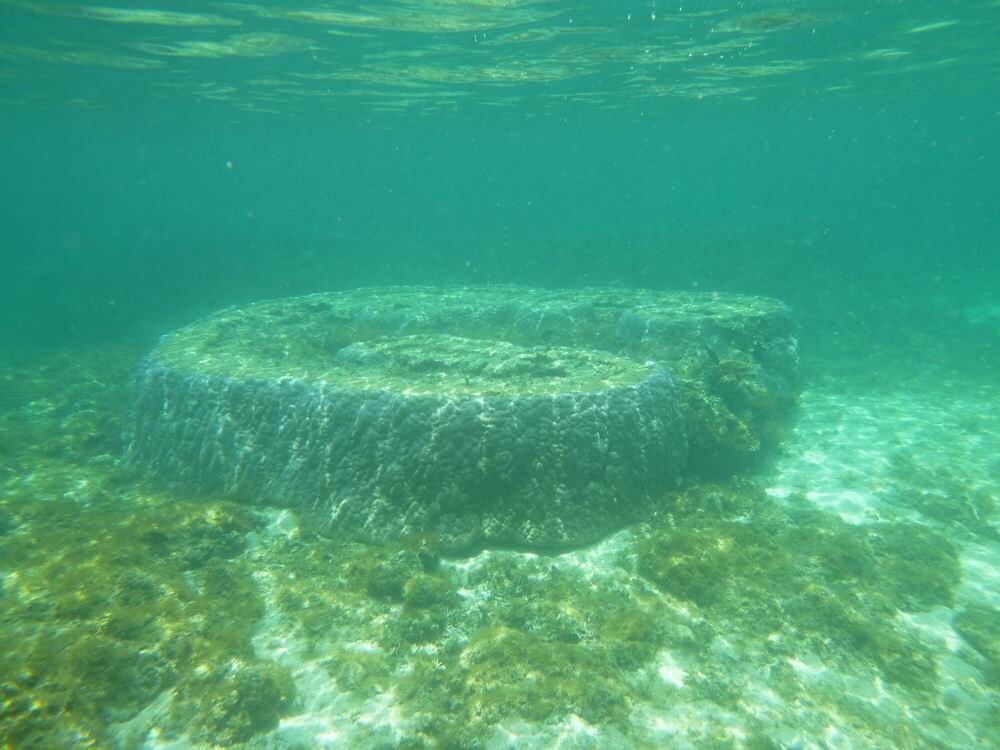 真謝海岸の海中風景