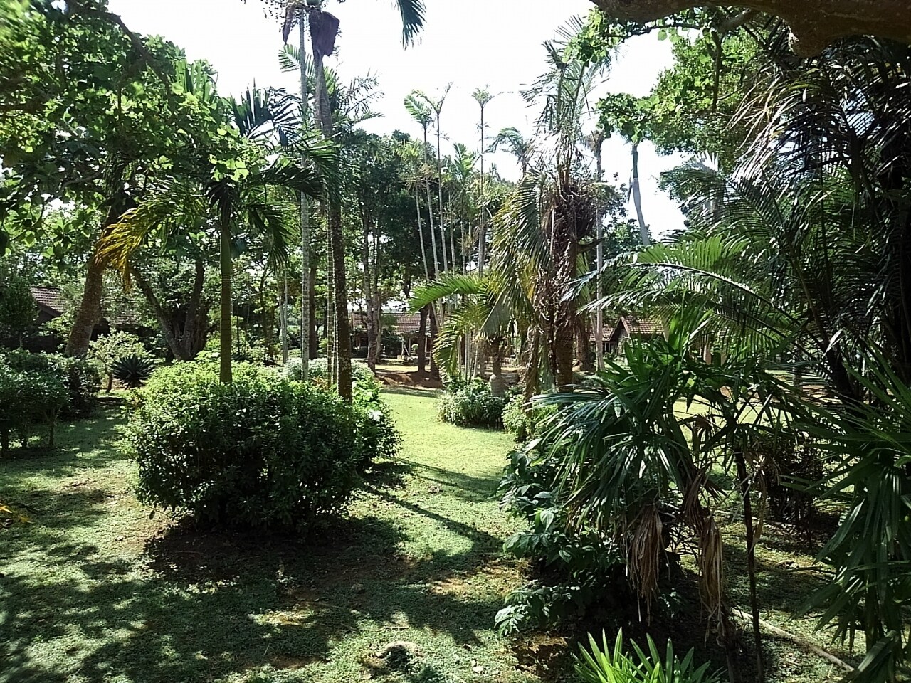 宮古島市熱帯植物園