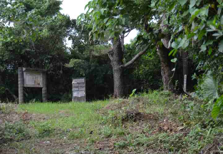 野原岳の霊石近くの木々