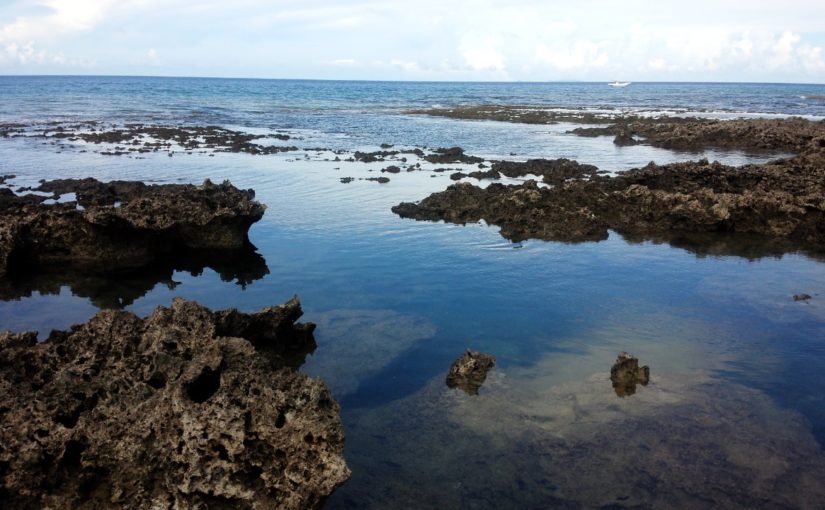 熱帯魚の家 沖縄本島 久米島エリア の観光スポット 沖縄トリップ