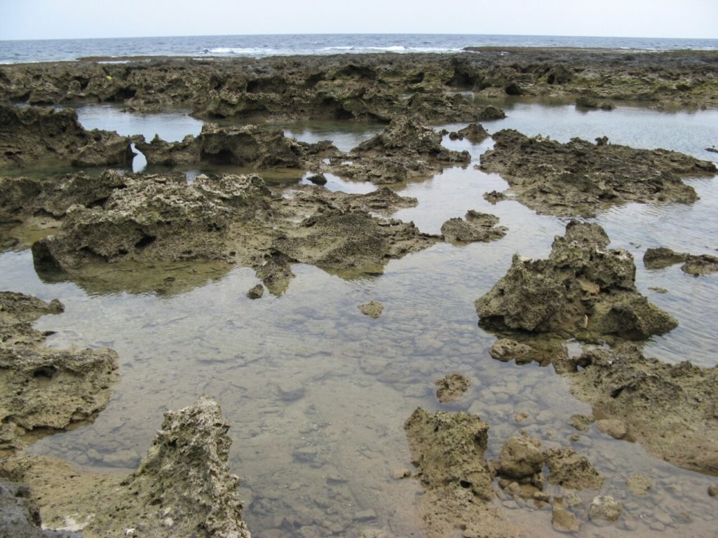 熱帯魚の家 沖縄本島 久米島エリア の観光スポット 沖縄トリップ