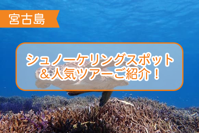 宮古島 シュノーケリングスポット 人気ツアー５選 沖縄トリップ 沖縄最大級のアクティビティ予約サイト