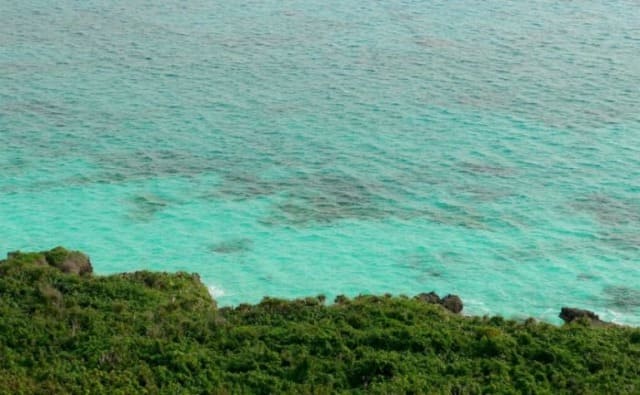 新城海岸