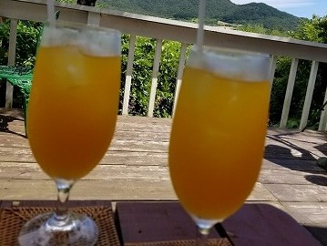 石垣島の川平ファームでできるカフェ