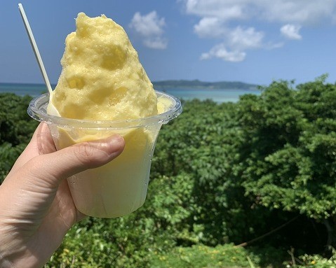 石垣島の宮良農園で食べられるデザート