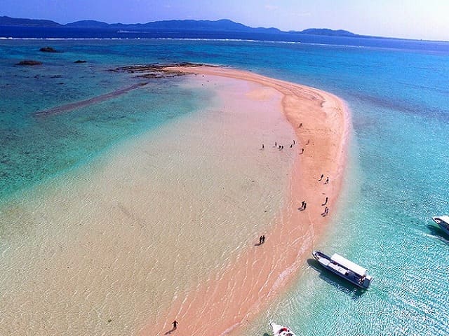 浜島に上陸する人達