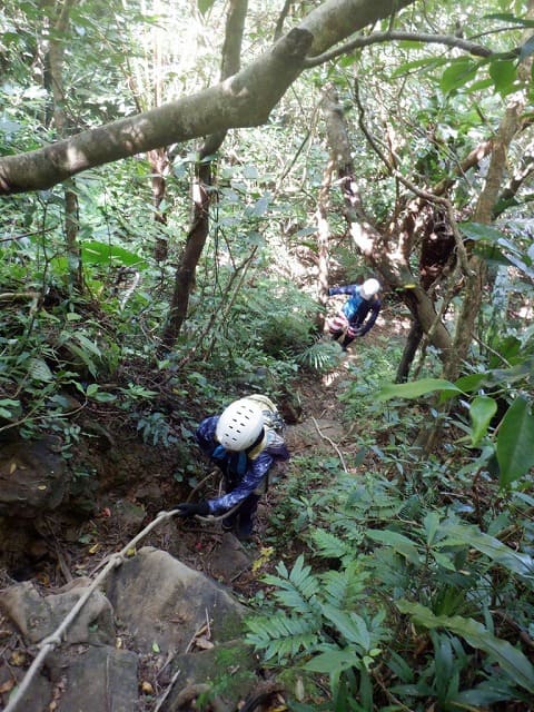 西表島のトレッキングツアー