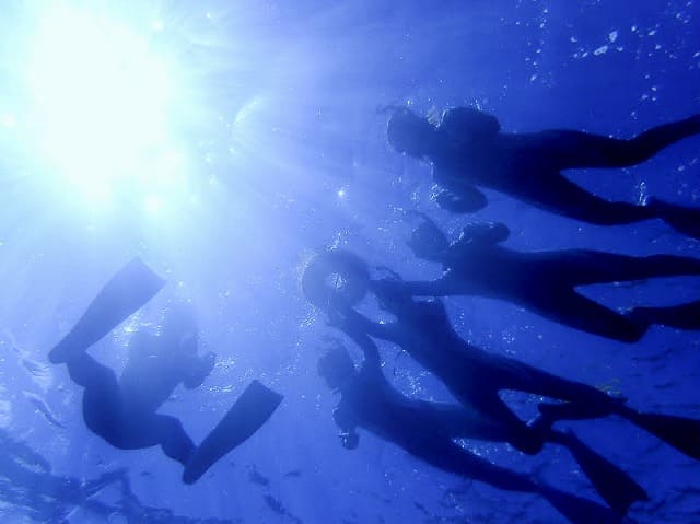 西表島の透明度抜群の海でシュノーケリングツアー