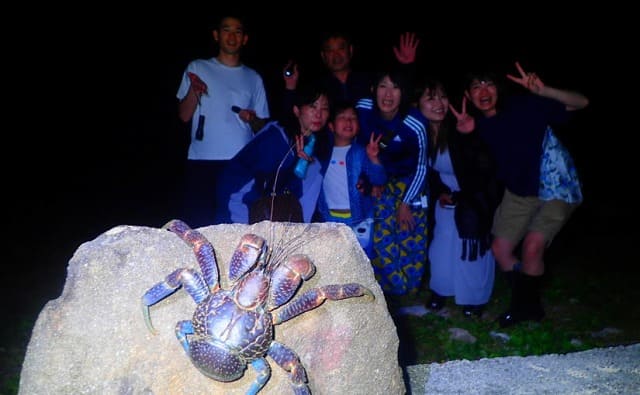 宮古島で天然記念物のヤシガニを見るには 沖縄トリップ 沖縄最大級のアクティビティ予約サイト