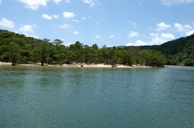 西表島の浦内川