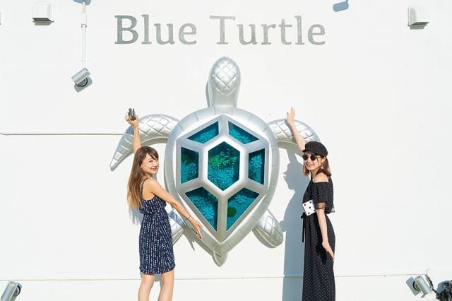 伊良部島のblue turtle