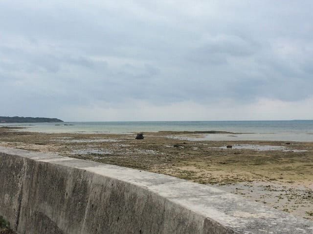 小浜島の南風花海岸