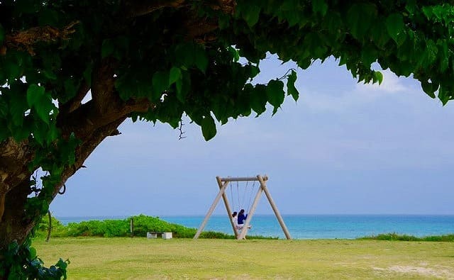 海の見えるブランコに乗る人