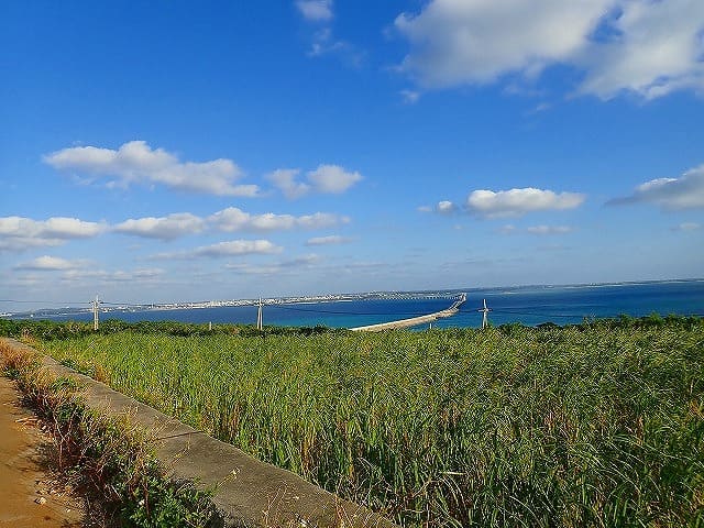 のどかな伊良部島の風景