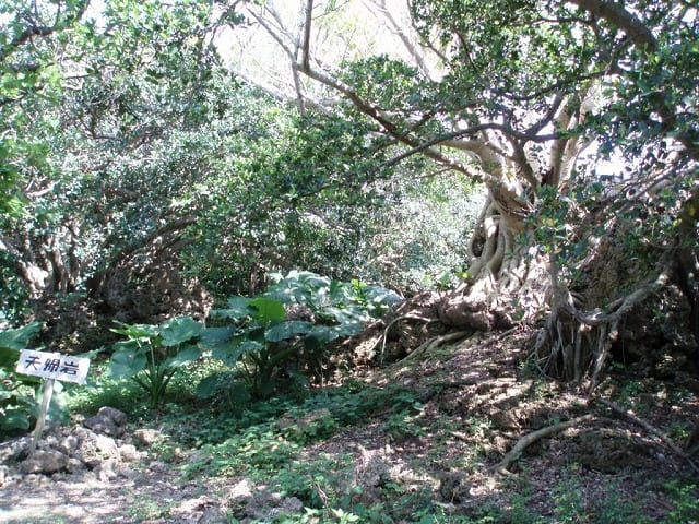 鳩間島の夫婦岩