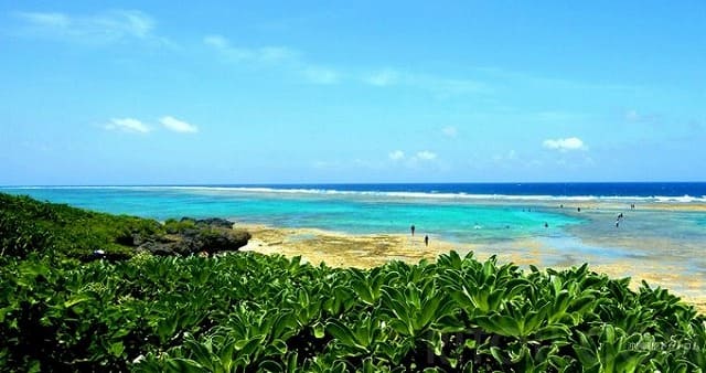 黒島の仲本海岸