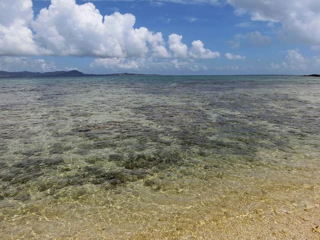 石垣島の透明度抜群の大崎ビーチ