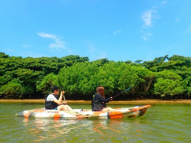 宮良川でのマングローブカヤック