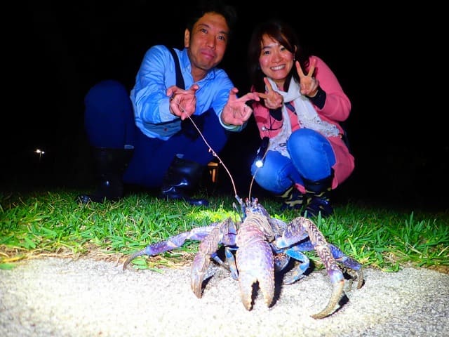 カップルでヤシガニを見るツアー