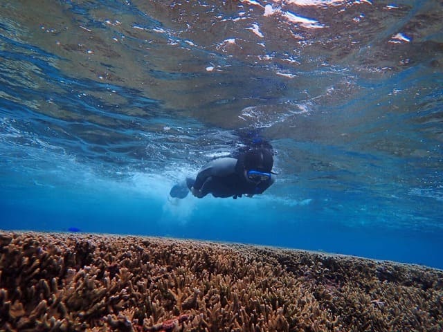 宮古島の海でシュノーケリングをする人