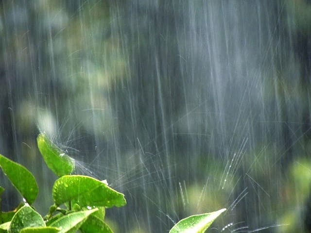 雨の石垣島