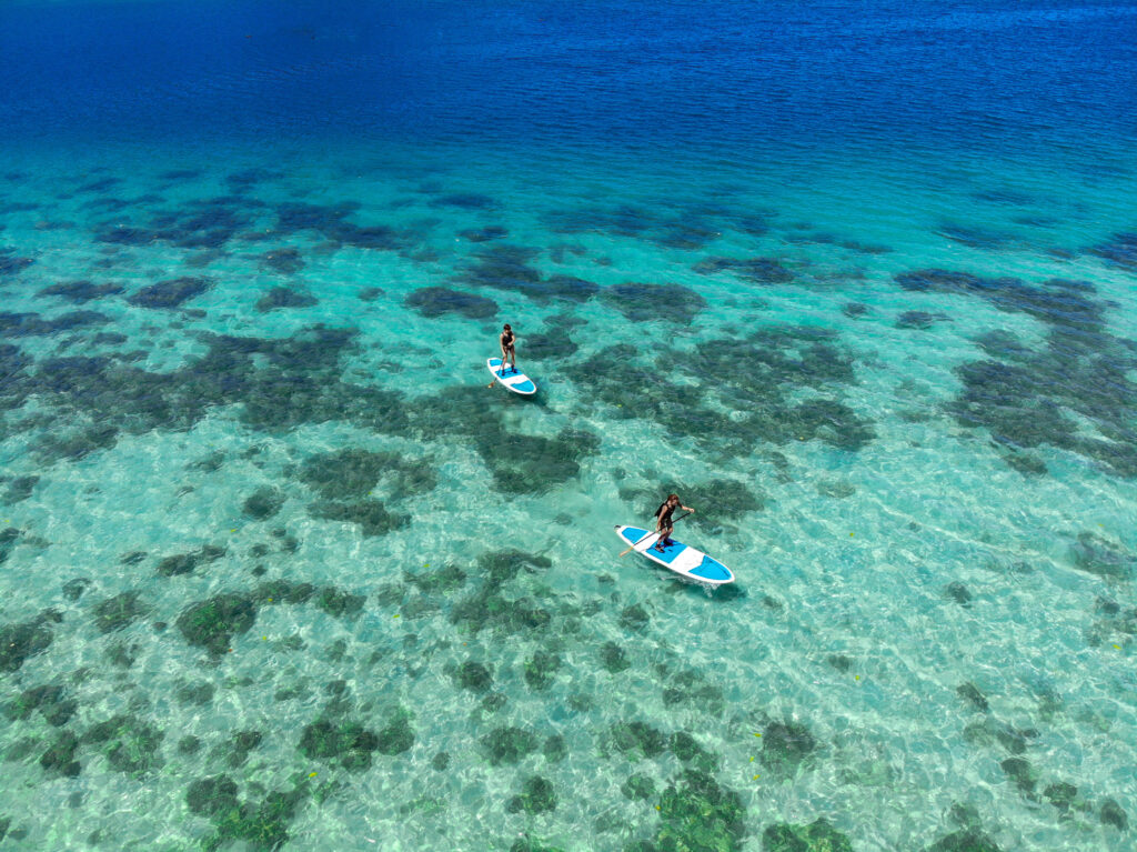 【石垣島】海も川も満喫♪川平湾＆天然記念物マングローブでのSUP/カヌー