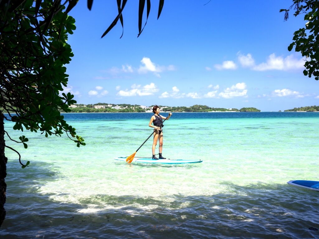 【石垣島】海も川も満喫♪川平湾＆天然記念物マングローブでのSUP/カヌー