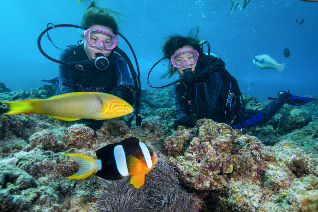 【沖縄本島】神秘の青の洞窟と、体験ダイビング&沖縄美ら海水族館セットプラン