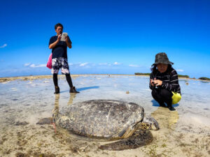 【沖縄・久米島】幻の道トレッキングで無人島とサンゴ礁を探検