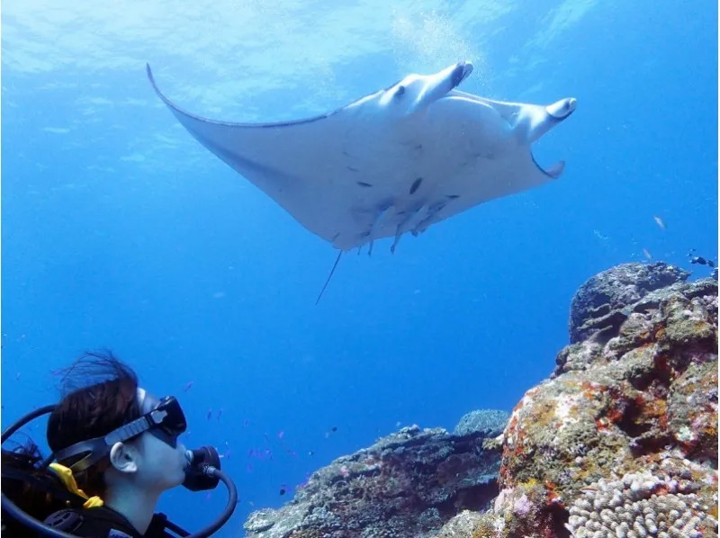 石垣島の海を、もっと自由に！