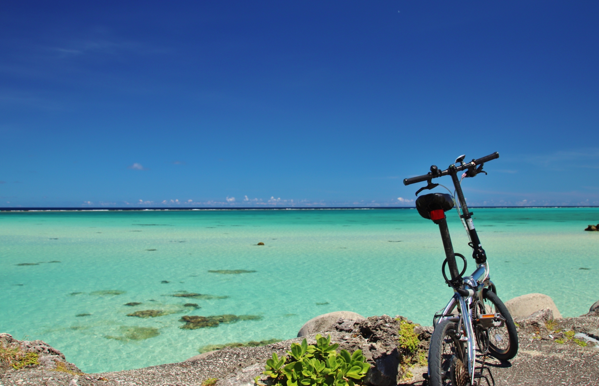 沖縄本島 レンタサイクルの種類