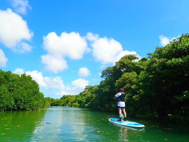 宮良川SUP