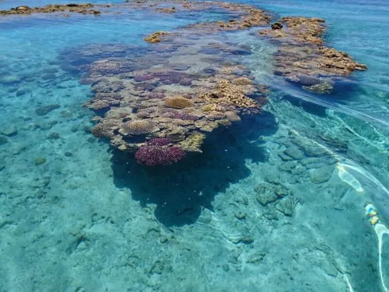 瀬底島＆水納島：沖縄の海を満喫する2つの島へのクルージング