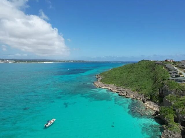 沖縄本島チャーターツアー：自由気ままに、美ら島を満喫！